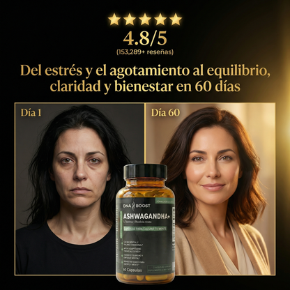 ASHWAGANDHA+ L-Teanina + Rhodiola Rosea - 60 Cápsulas