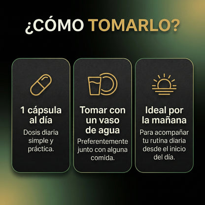 ASHWAGANDHA+ L-Teanina + Rhodiola Rosea - 60 Cápsulas